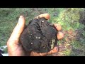 truffles