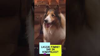 Lie Ein Neues Abenteuer