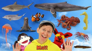 Sea Creatures - What Do You See? Song  | Find It Version | Dream English Kids