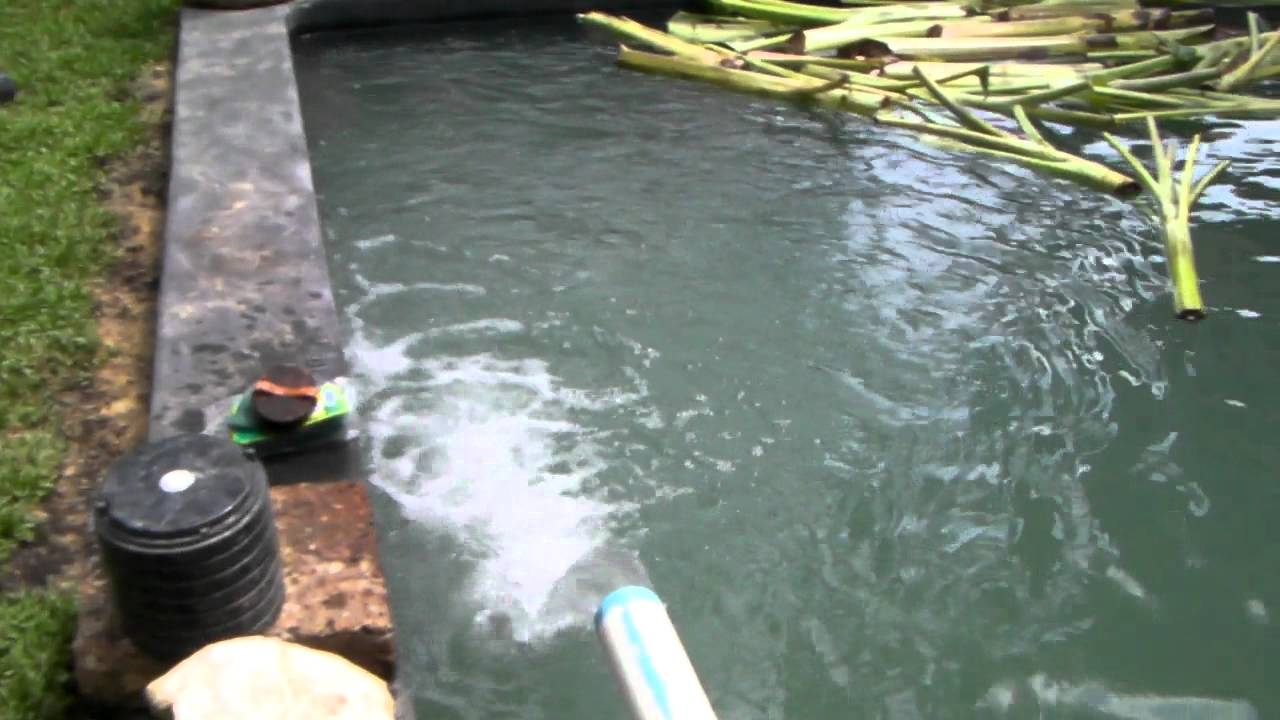 La pêche dhiver dans le domaine de Rostov 2017