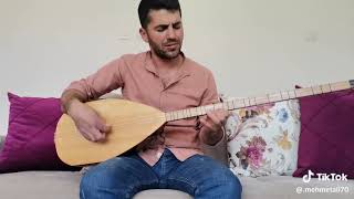 El Gözünde Dertsiz Gamsız Biriyim...