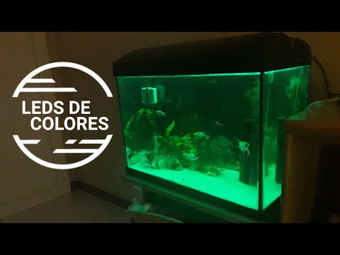 El Azul Video