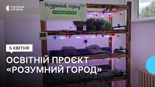 Частину Грошей Донатять На Зсу: Учні Ужгородського Ліцею Вирощують Мікрозелень