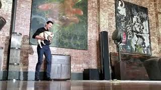 Hugh Jackman Dancing With His Dog