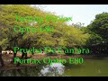 Testing Pentax Optio E80 - Zoologico De Maracaibo