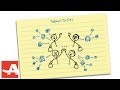 Networking to Get a Job