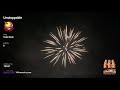 video-img