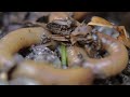 We've Arrived Video preview