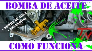 Como Funciona La Bomba De Aceite En Una Moto Scooter Encendido Y Bomba De Agua