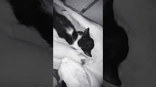 Mothers Warmth
