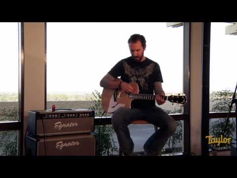 Taylor Guitars - T5