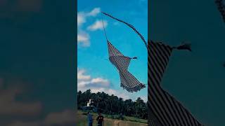 Big Kite Vs Small