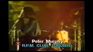 Watch Peter Murphy Tale Of The Tongue video