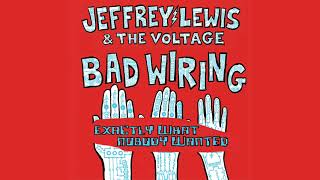 Watch Jeffrey Lewis  The Voltage Exactly What Nobody Wanted video