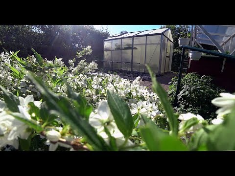 Mein Gartenversand Doppelstabmatten Tor Aufbauen