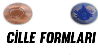 Ci̇lle Formlari