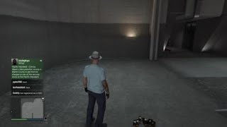 Grand Theft Auto V: Glitch?