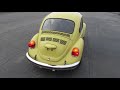 beetle