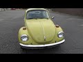 beetle
