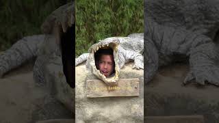 I Traveled The World Trying To Find Arabella.see Ya Later, Alligator.