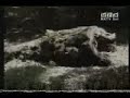 Vaska Ilieva - Koga padna na Pirina Jane Sandanski