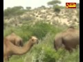 Hai Hatela shafi fakqeer Hai Hatela shafi fakqeer