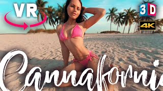 VR 3D BIKINI MODEL ON THE BEACH - CANNAFORNIA GIRLS - VIRTUAL REALITY  IN 180