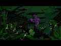 Jungle by Night Ethiopino (clip)