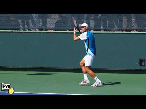 Nikolay ダビデンコ hitting forehands and backhands -- Indian Wells Pt． 14