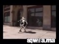 ba9ara