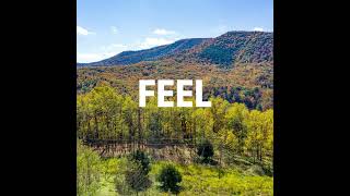 97 Acres Bordering the National Forest in Fulks Run, VA