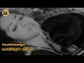Kaattilolangal |Video Song | Kaathirunna Nimisham 1978 |MK Arjunan| P Jayachandran| Central Talkies