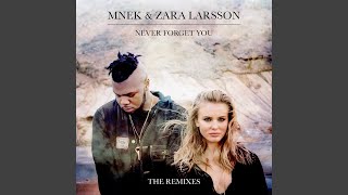 Never Forget You (Mr. Belt & Wezol Remix)