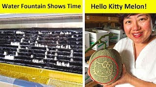 Photos That Prove Japan Is Not Like Any Other Country (New Pics!)
