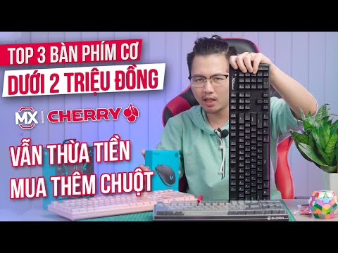 TOP 3 Bàn Phím Cơ Cherry MX Giá Dưới 2 Triệu: NGON - ĐỘC - RẺ! Cái Cuối Cùng Là Ngon Nhất?