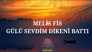 Melis Fis - Gülü Sevdim Dikeni Battı (Sözleri/Lyrics)