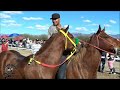 Carreras de Caballos en San Felipe de Jesus 01 Febrero 2015