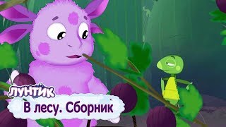 В лесу | Лунтик | Сборник мультфильмов для детей