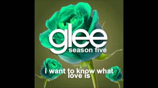 Watch Glee Cast I Want To Know What Love Is video