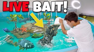 Dumping DOZENS Of LIVE FISH Into My POND!!