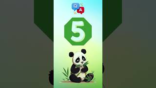 What Do You Call A Baby Panda? Find Out Here