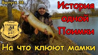 Видео о рыбалке №1666
