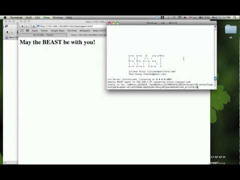 BEAST - зверский угон SSL-кукисов BEAST - зверский угон SSL-кукисов