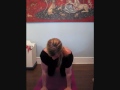 Shoulder Exercise