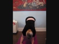 Shoulder Exercise