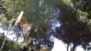 Watch AntiFlag I Dont Believe video