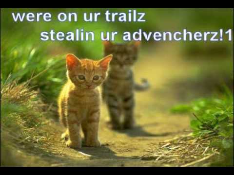 Dan Balan - Crazy Loop - LOLCATS