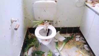How To Fix A Leaking Toilet Reverse