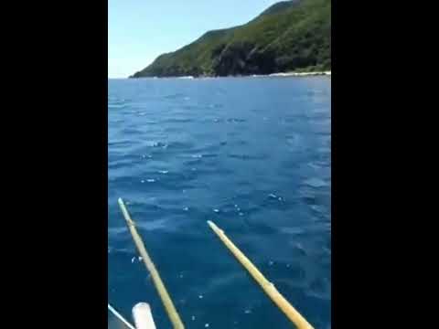 SEATRIP IN THE ISLAND