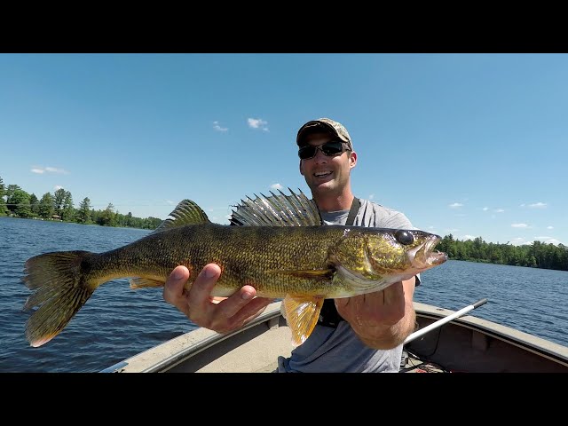 Watch Walleye Fishing Tips – Biggest Tricks To Catching More Summer Walleye (2019) on YouTube.